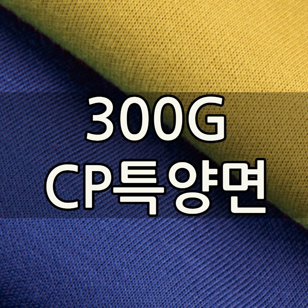 300G CP특양면