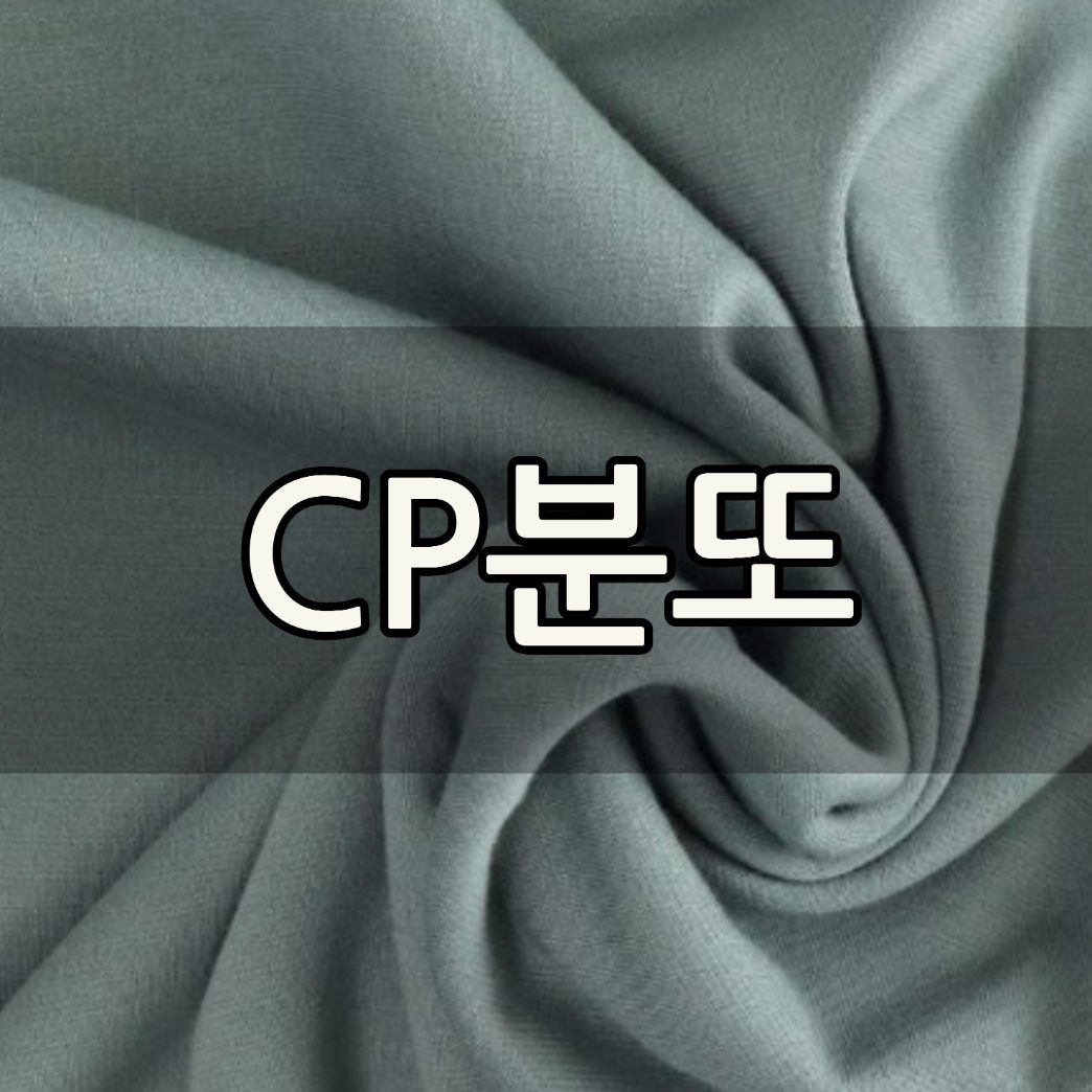 CP분또
