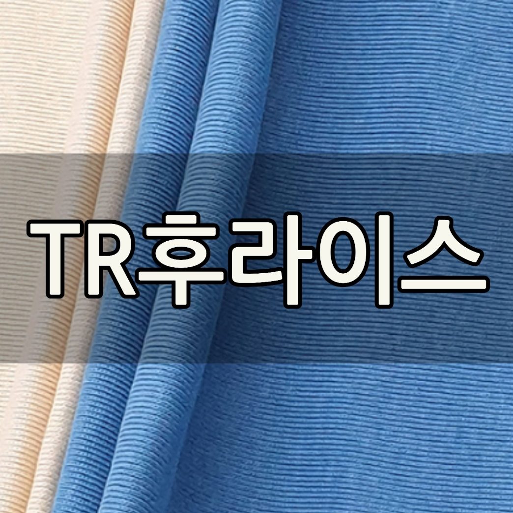 TR후라이스