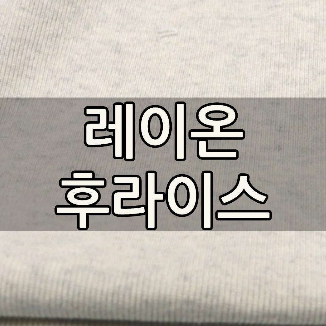 레이온 후라이스